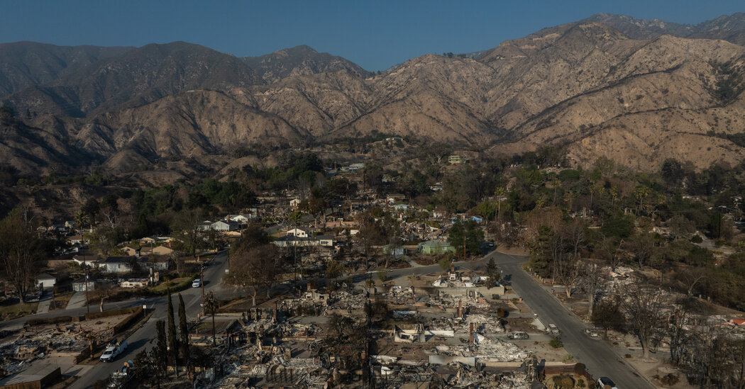 Ce tip de Los Angeles va renaște din flăcări?